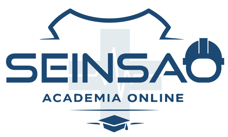 SeinsaoAcademy